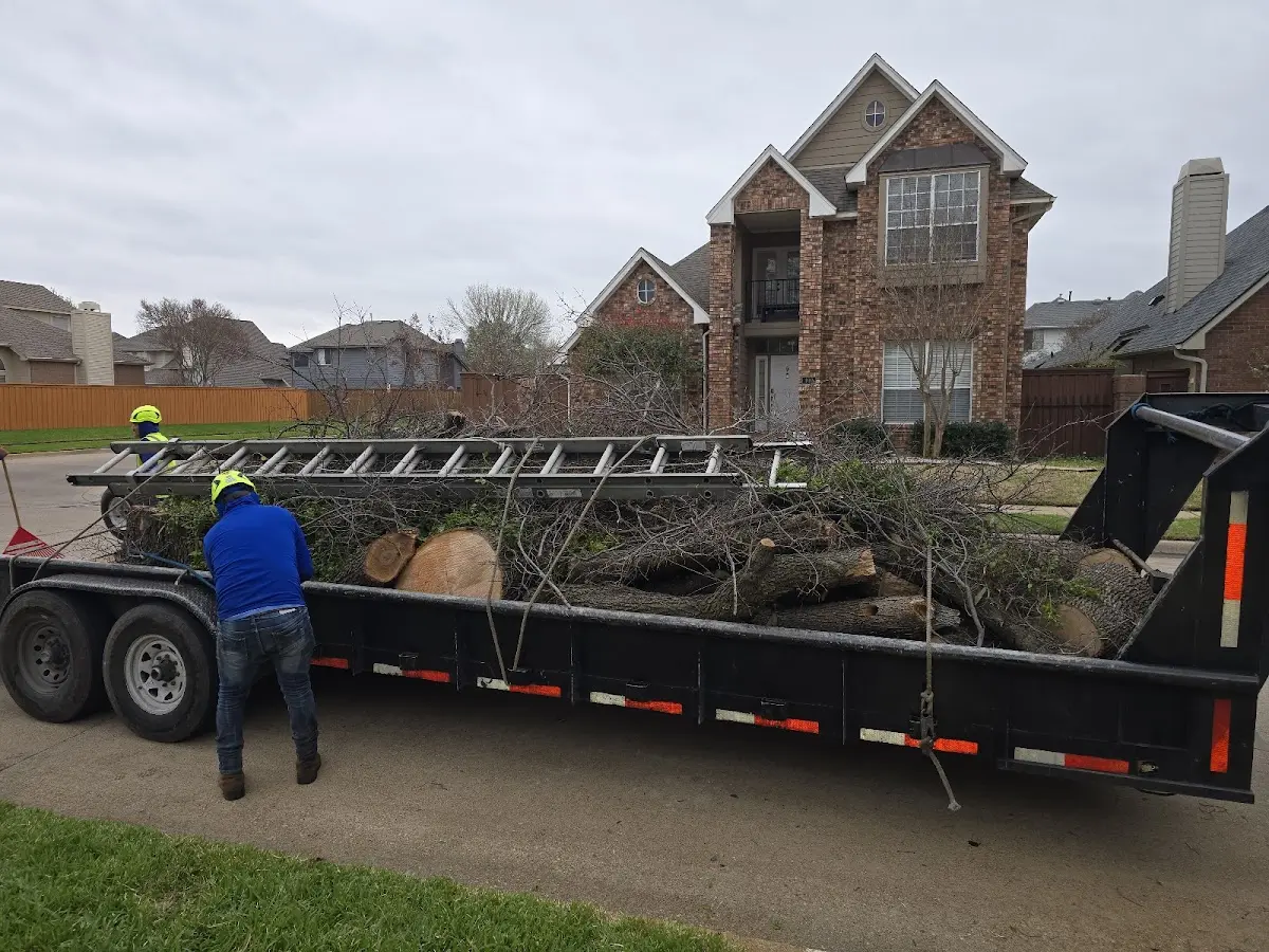 Expert Tree Fertilization with proper safety equipment in Florence
